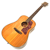 Gibson